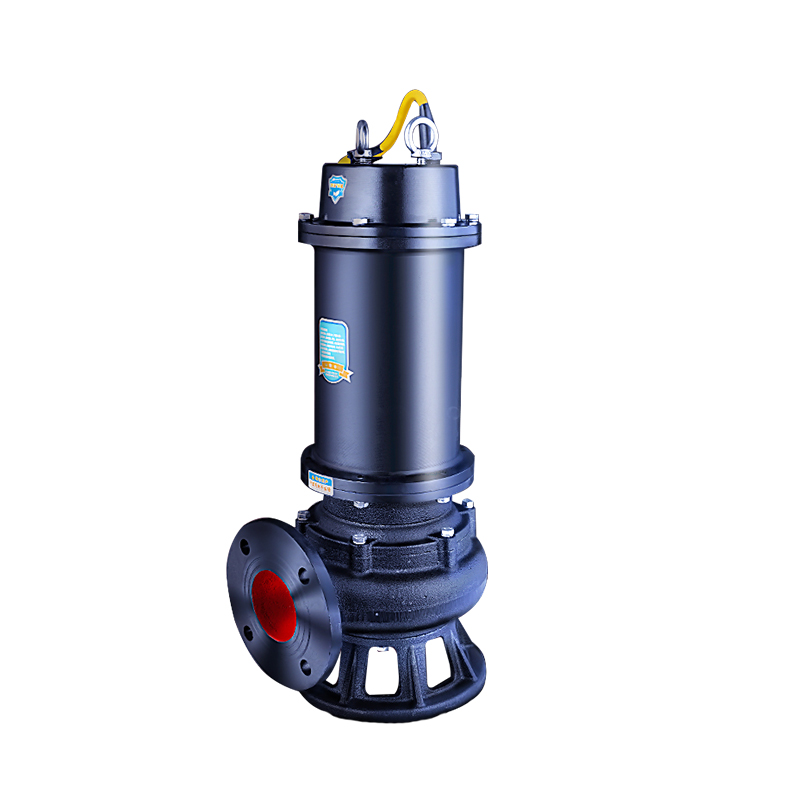 Raxwell WQ(D)潜水排污泵WQD7-15-0.75，220V，DN40，法兰连接，带出水弯管，电缆长度7米