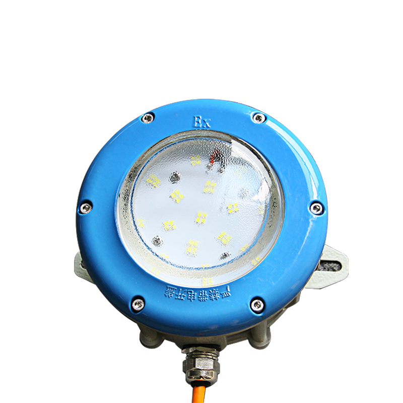 Raxwell 防爆灯，可定制颜色，平台式，50W，吊杆式，RLBP1013，1个