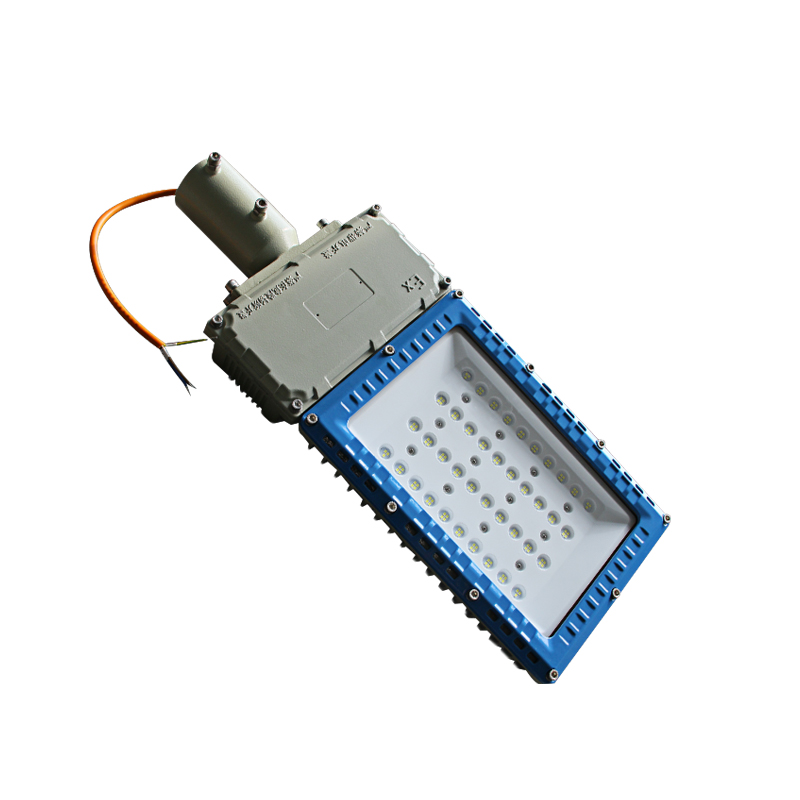 Raxwell 防爆灯，可定制颜色，泛光灯，200W，路灯式，RLBF2041，1个
