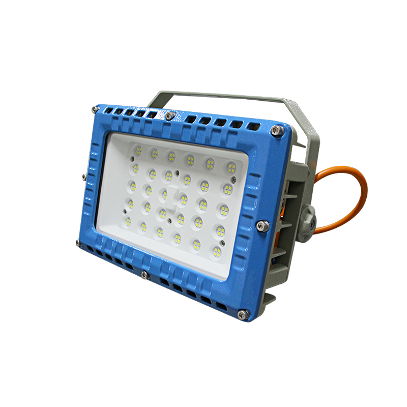Raxwell 防爆灯，可定制颜色，泛光灯，80W，支架式，RLBF2012，1个