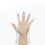 Raxwell 一次性PE手套，透明色，均码，200只/盒
