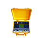 Raxwell 绝缘电阻测试仪，5KV，RDAT0003，1个/箱